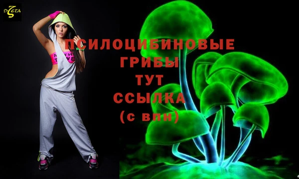 сатива Дмитров