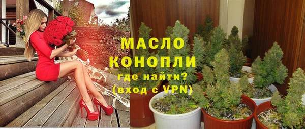 сатива Дмитров
