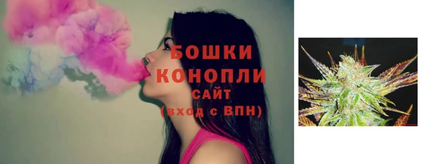 сатива Дмитров