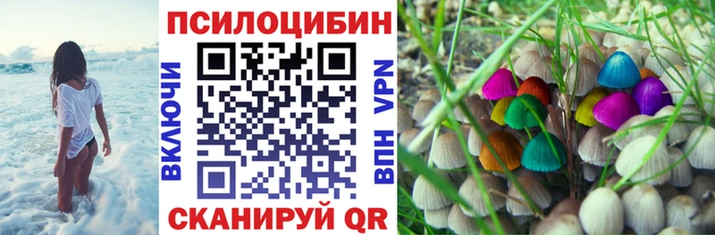 Псилоцибиновые грибы Magic Shrooms  Купить  Таруса 
